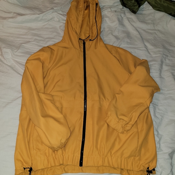 Yellow jacket - Picture 4 of 6